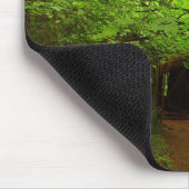 Tapis De Souris Érables dans la forêt de séquoias (Coin)