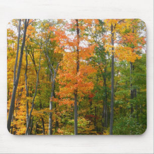 Tapis De Souris Érables en automne Photographie de la nature