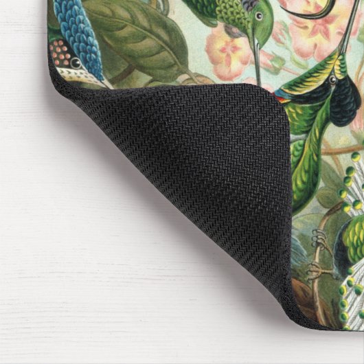 Tapis De Souris Ernst Haeckel Art Imprimer : Trochilidae (Coin)