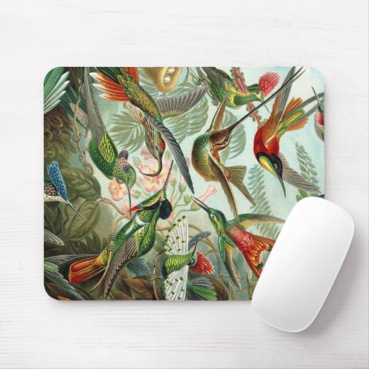 Tapis De Souris Ernst Haeckel Art Imprimer : Trochilidae (Avec souris)