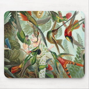 Tapis De Souris Ernst Haeckel Art Imprimer : Trochilidae