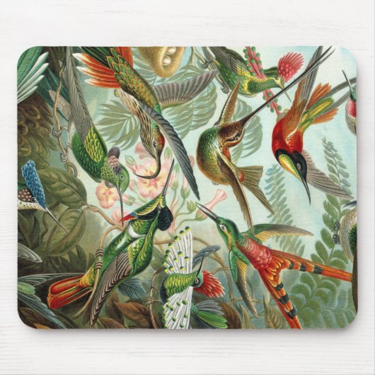 Tapis De Souris Ernst Haeckel Art Imprimer : Trochilidae (Devant)