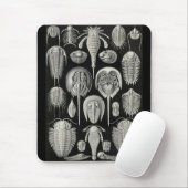 Tapis De Souris Ernst Haeckel - Aspidonia (Avec souris)