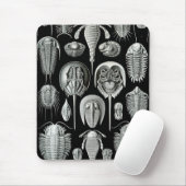 Tapis De Souris Ernst Haeckel - Aspidonia (Avec souris)