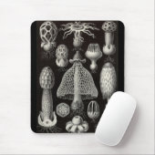 Tapis De Souris Ernst Haeckel - champignons de Basimycetes (Avec souris)