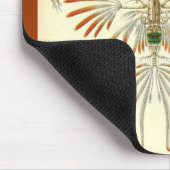 Tapis De Souris Ernst Haeckel - Copepoda (Coin)