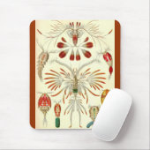 Tapis De Souris Ernst Haeckel - Copepoda (Avec souris)