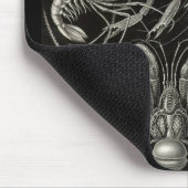 Tapis De Souris Ernst Haeckel - décapode (Coin)