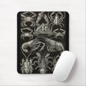 Tapis De Souris Ernst Haeckel - décapode (Avec souris)