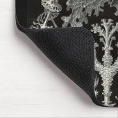 Tapis De Souris Ernst Haeckel - Lichenes (Coin)