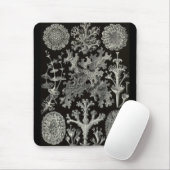 Tapis De Souris Ernst Haeckel - Lichenes (Avec souris)
