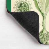 Tapis De Souris Ernst Haeckel - méduses de Stauromedusae (Coin)