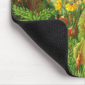 Tapis De Souris Ernst Haeckel - Muscinae (Coin)