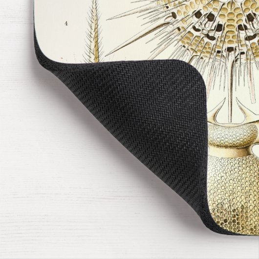 Tapis De Souris Ernst Haeckel Phaeodaria (Coin)