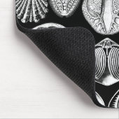 Tapis De Souris Ernst Haeckel Spirobranchia (Coin)