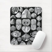 Tapis De Souris Ernst Haeckel Spirobranchia (Avec souris)
