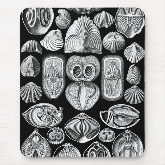 Tapis De Souris Ernst Haeckel Spirobranchia (Devant)