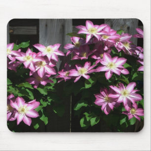 Tapis De Souris Escalade Clematis Fleurs de printemps violettes
