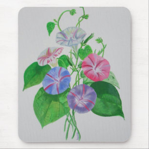 Tapis De Souris Escalade colorée Matin Glory Botanical Art
