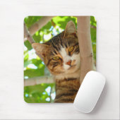 Tapis De Souris Escalade de chats d'un arbre (Avec souris)