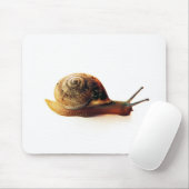 Tapis De Souris Escargot (Avec souris)