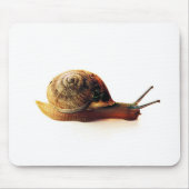 Tapis De Souris Escargot (Devant)