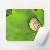 Tapis De Souris Escargot (Avec souris)