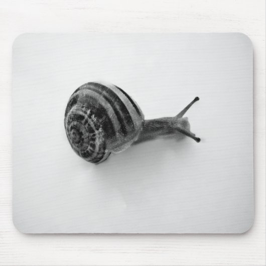Tapis De Souris Escargot (Devant)