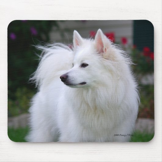 Tapis De Souris Eskie majestueux Mousepad (Devant)