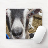 Tapis De Souris Est-Ce De La Nourriture De Caméra ? (Avec souris)