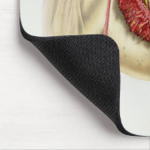Tapis De Souris Étalon Arabe (Coin)
