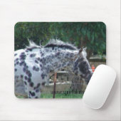 Tapis De Souris étalon de maîtrise de champion (Avec souris)