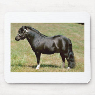 Tapis De Souris étalon miniature de poney