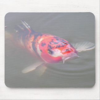 Tapis De Souris Étang de Koi