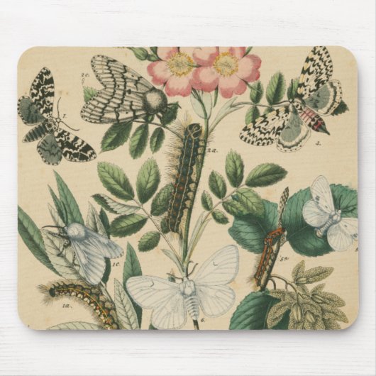 Tapis De Souris Étapes de la vie des papillons par Vision Studio (Devant)