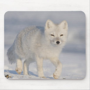 Tapis De Souris États-Unis, Alaska, 1002 Plaine côtière de l'ANWR.