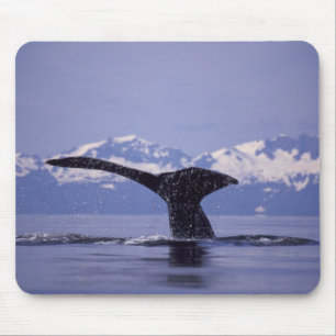 Tapis De Souris États-Unis, Alaska, baleine à bosse du Passage Int