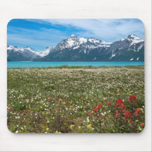 Tapis De Souris États-Unis, Alaska, Glacier Bay National Park 2