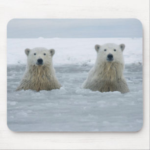 Tapis De Souris États-Unis, Alaska, North Slope, Ours polaires