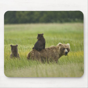 Tapis De Souris États-Unis, Alaska, parc national de Lake Clark