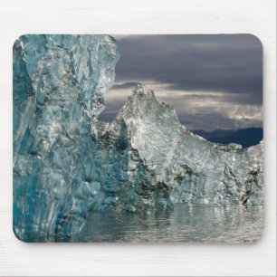 Tapis De Souris États-Unis, Alaska, Tongass National Forest, Trac