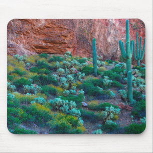 Tapis De Souris États-Unis, Arizona. Flore du désert