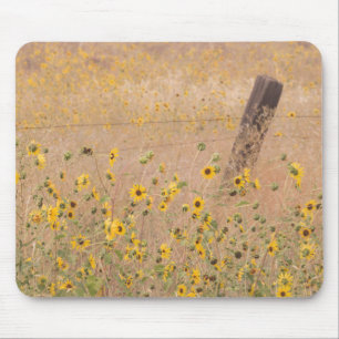 Tapis De Souris États-Unis, Californie, Adin. Barbed Wire Fence