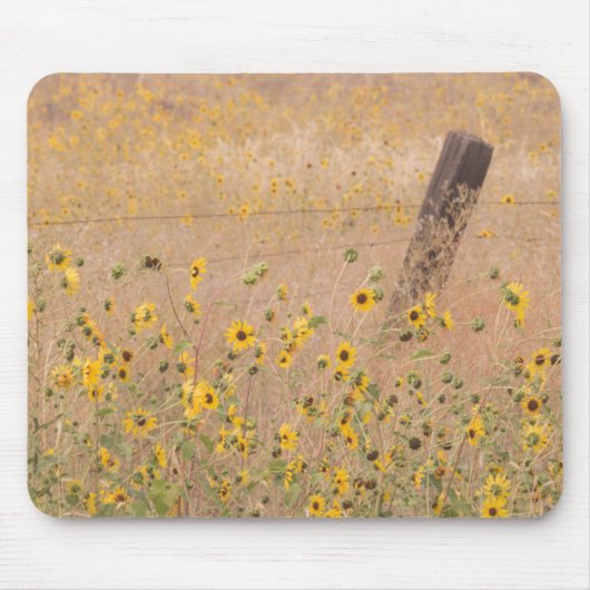 Tapis De Souris États-Unis, Californie, Adin. Barbed Wire Fence (Devant)