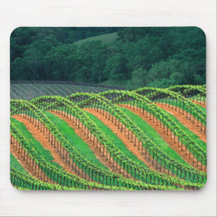 Tapis De Souris États-Unis, Californie, comté de Mendocino, un tre