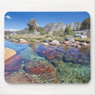 Tapis De Souris États-Unis, Californie, Forêt nationale d'Inyo 4