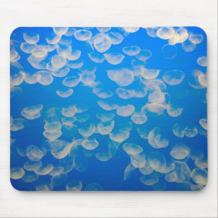 Tapis De Souris États-Unis, Californie. Jellyfish In the Monterey