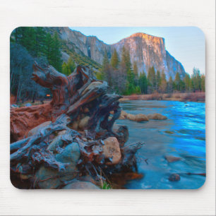Tapis De Souris États-Unis, Californie. Racines d'arbres dans la r