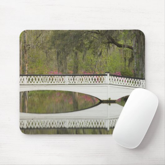 Tapis De Souris États-Unis; Caroline du Sud; Charleston;3 (Avec souris)