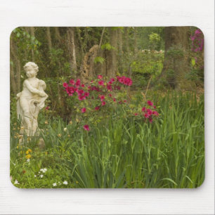 Tapis De Souris États-Unis; Caroline du Sud; Charleston; 4